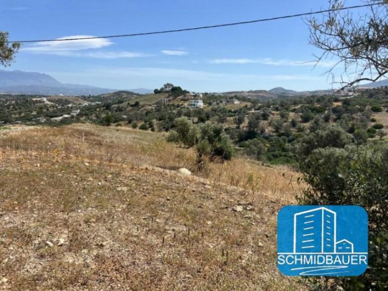 Pitsidia Kreta, Pitsidia: Grundstück am Ortsrand zu verkaufen Grundstück kaufen